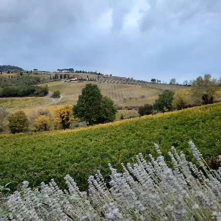 Del Sole * San Gimignano