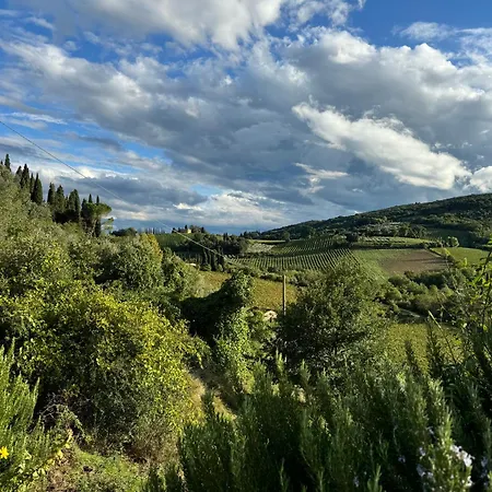 Del Sole